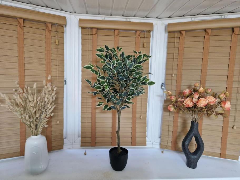 Apartment Cozy Flat & Lovely Garden, High Speed Wifi Cranford